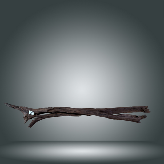 Driftwood pieza 24F - 043
