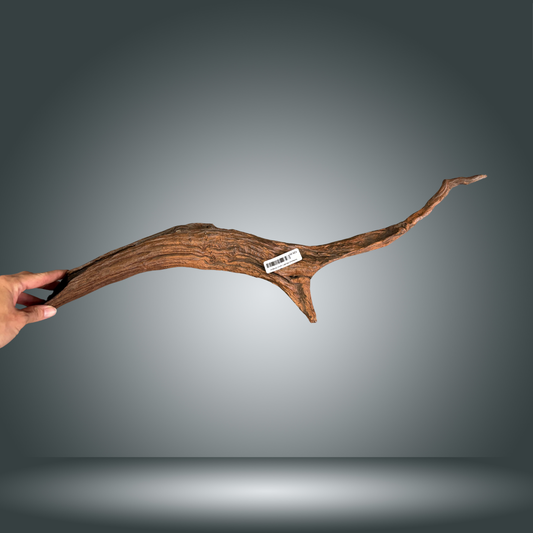 Driftwood 29S-002 | aprox 50-60cm