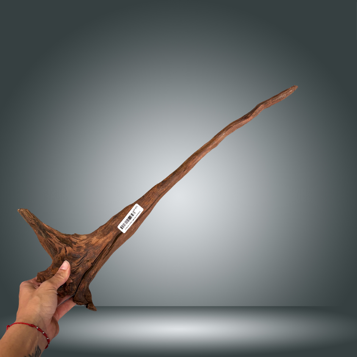 Driftwood 29S-009 | aprox 50-60cm