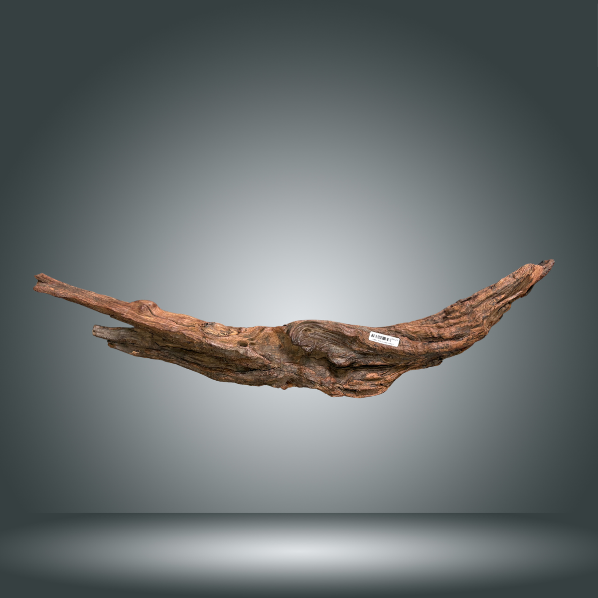 Driftwood 29S-015 | aprox +100cm