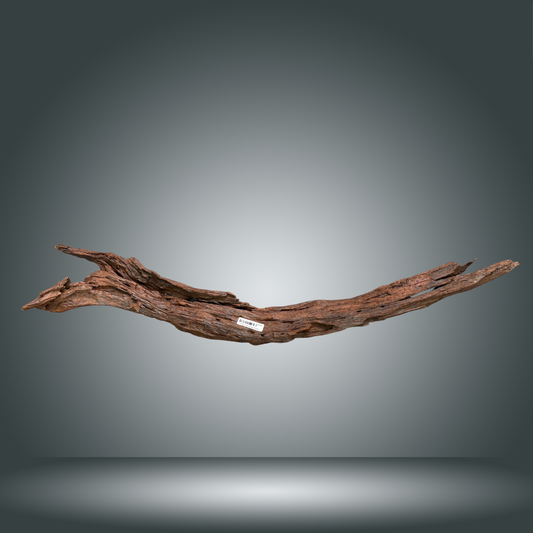 Driftwood 29S-016 | aprox +100cm