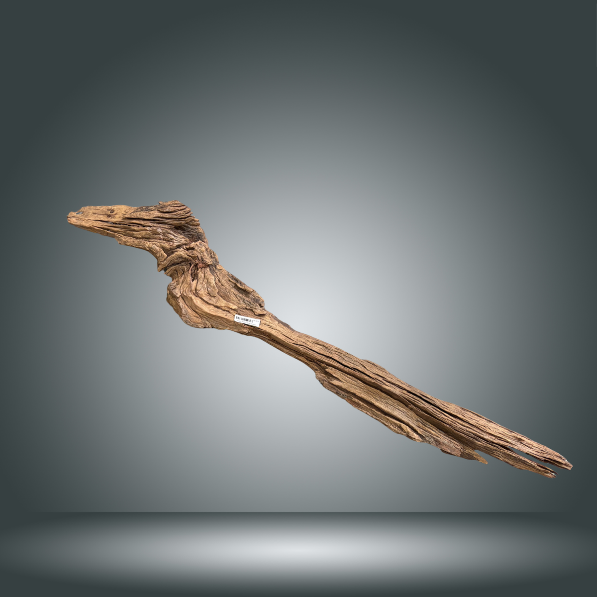 Driftwood 29S-017 | aprox +100cm