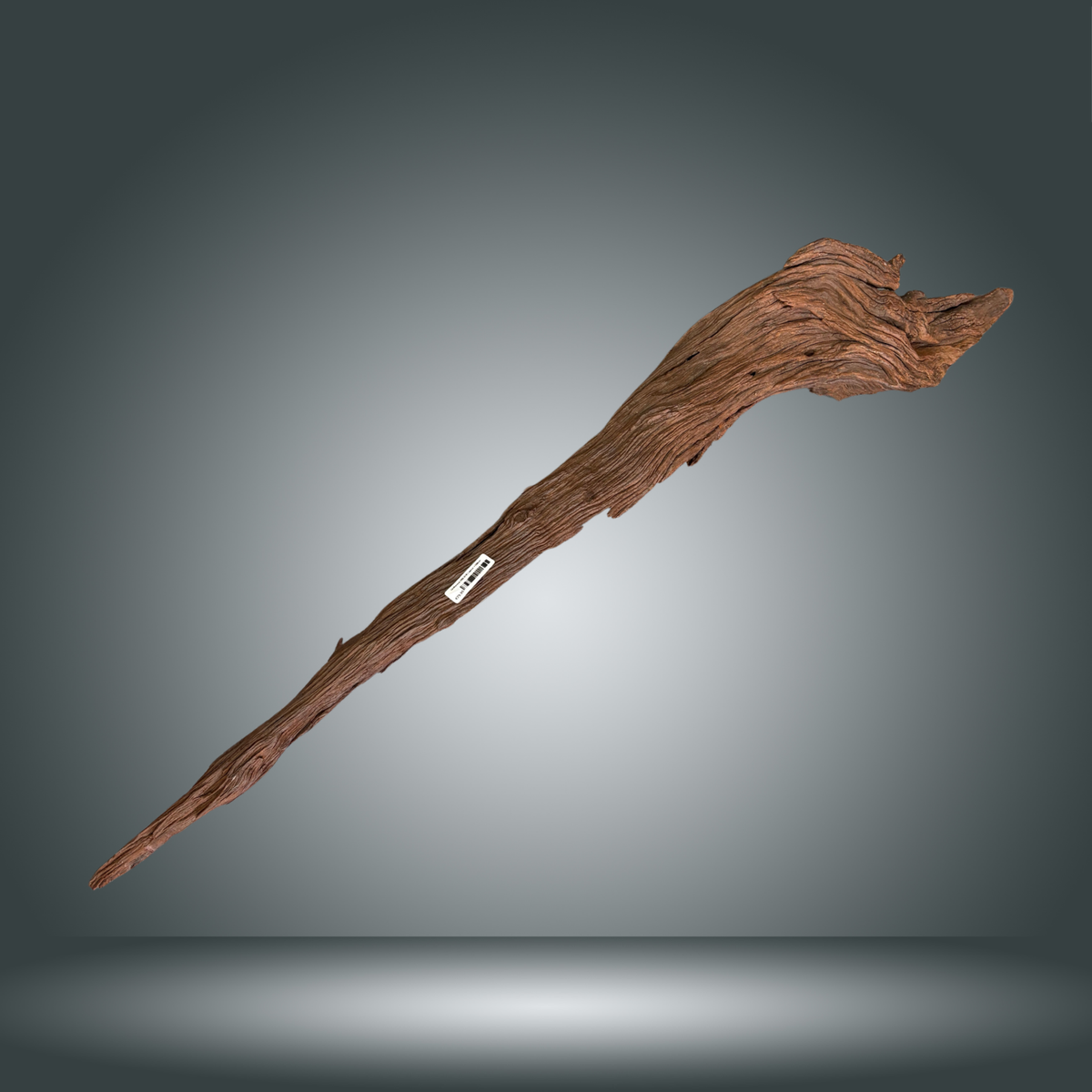 Driftwood 29S-018 | aprox +100cm