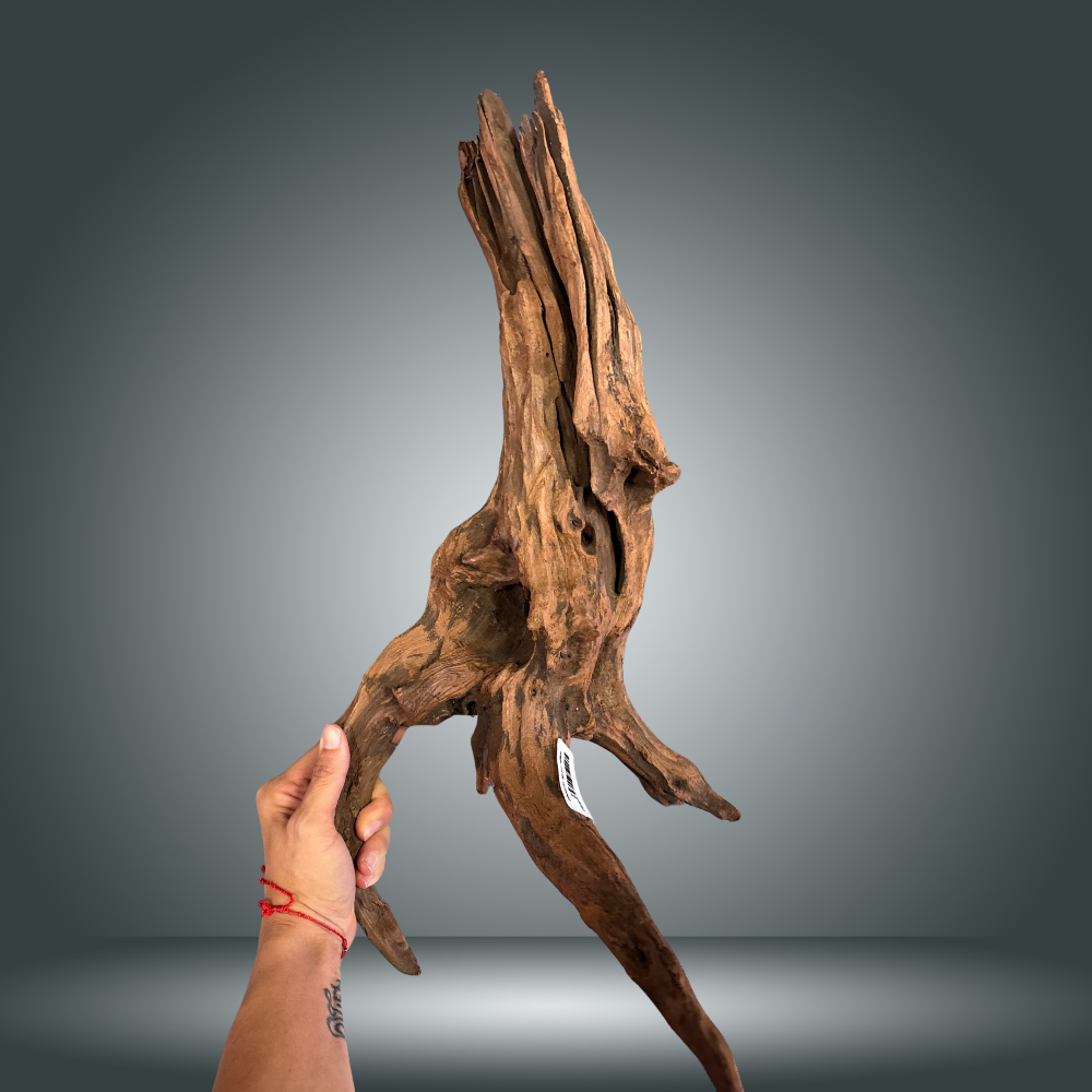 Driftwood 22O - 003 aprox. 60/80cm