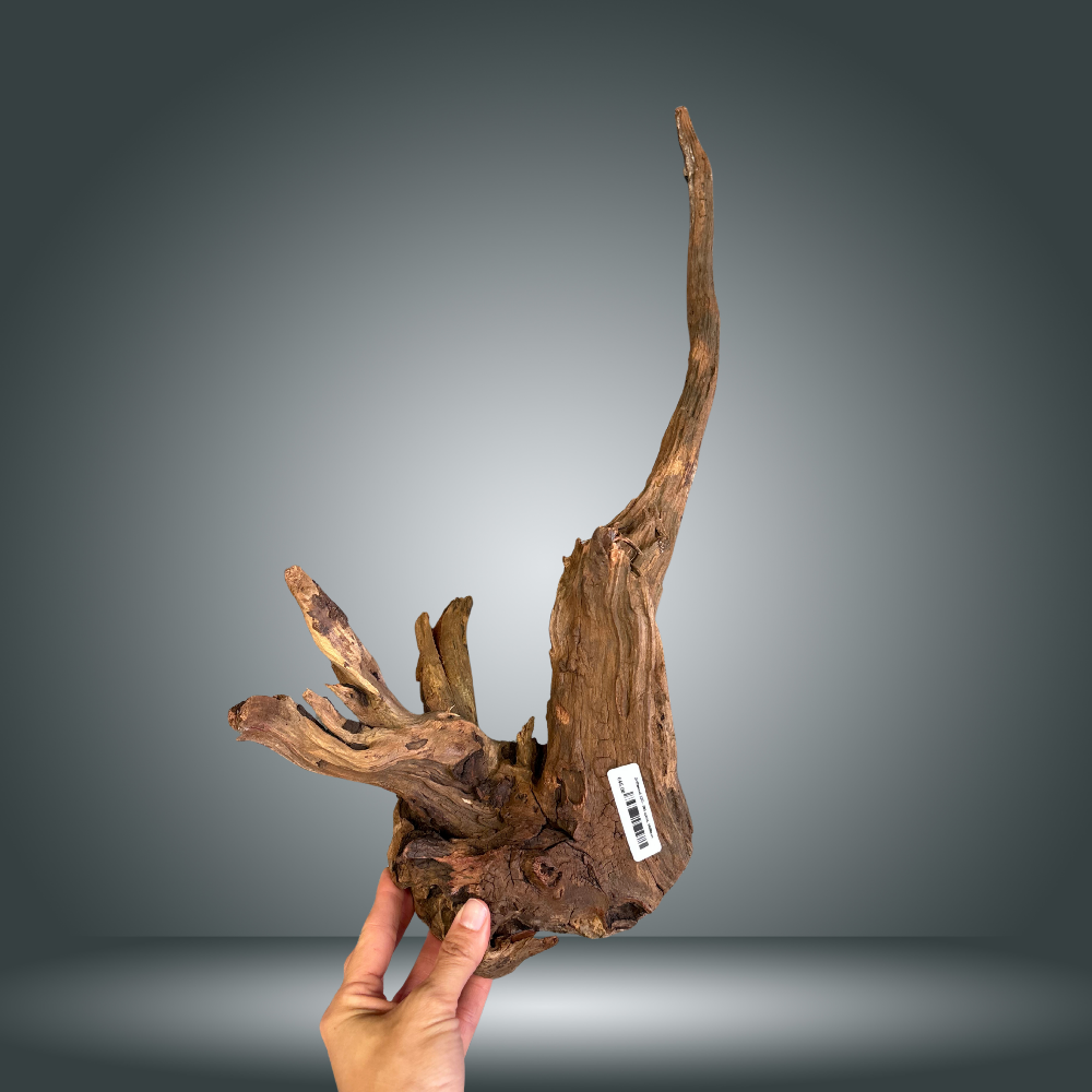Driftwood 22O - 005 aprox. 60/80cm