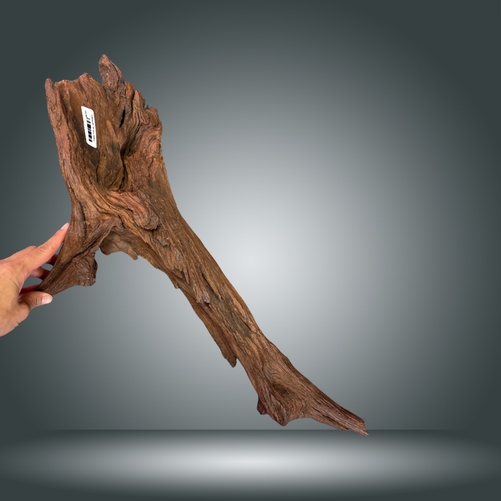 Driftwood 22O - 001 aprox. 60/80cm