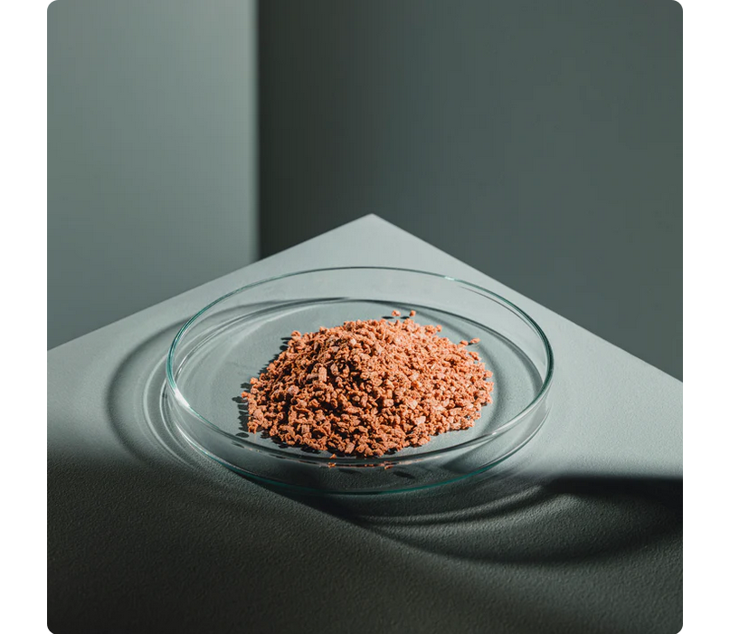 StreamBiz Angelfish Power Granules L 80 g