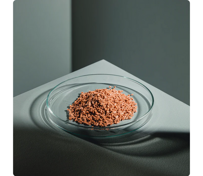 StreamBiz Angelfish Power Granules L 80 g