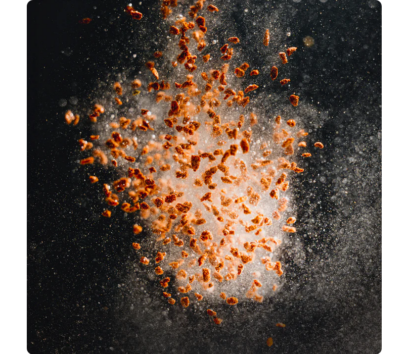 StreamBiz Angelfish Power Granules L 80 g