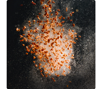 StreamBiz Angelfish Power Granules L 80 g