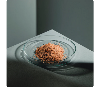 StreamBiz Angelfish Power Granules M 80 g