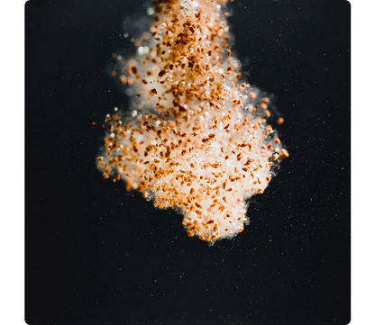 StreamBiz Angelfish Power Granules M 80 g