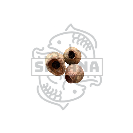 Eucaliptus Pod | pack 3 unidades