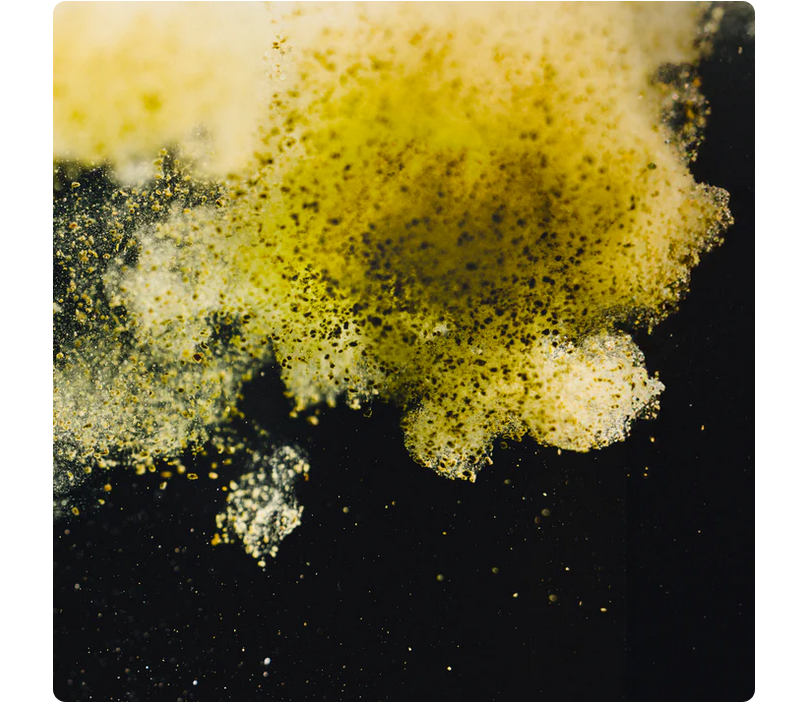 StreamBiz Guppy Granules Color 40 g