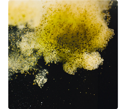 StreamBiz Guppy Granules Color 40 g