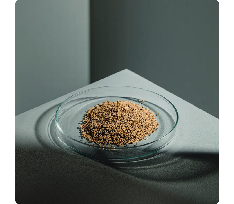 Streambiz Immun PLUS Granulado 80g