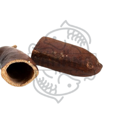 Jatoba Pod | 1 unidad