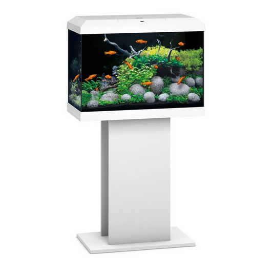 Acuario + mesa BLANCO JUWEL PRIMO 70 L TWINSTAR EDICION