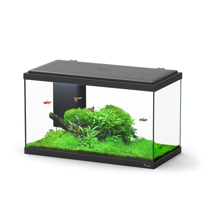 Acuario Aquatlantis Explorer Paris BIOBOX 58 litros | Negro