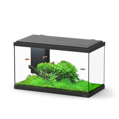 Acuario Aquatlantis Explorer Paris BIOBOX 58 litros | Negro
