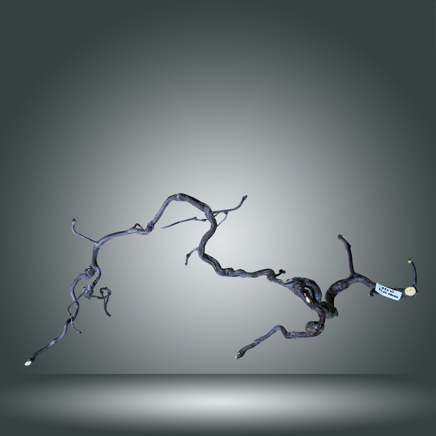 Mamba pieza nº 4M-016