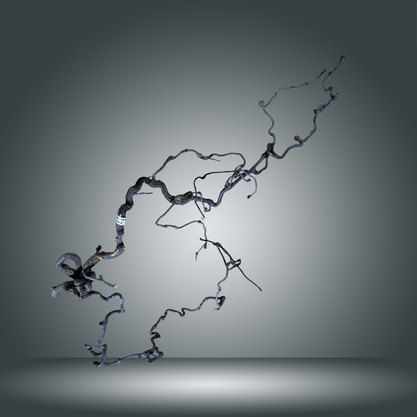 Mamba pieza nº 4M-017