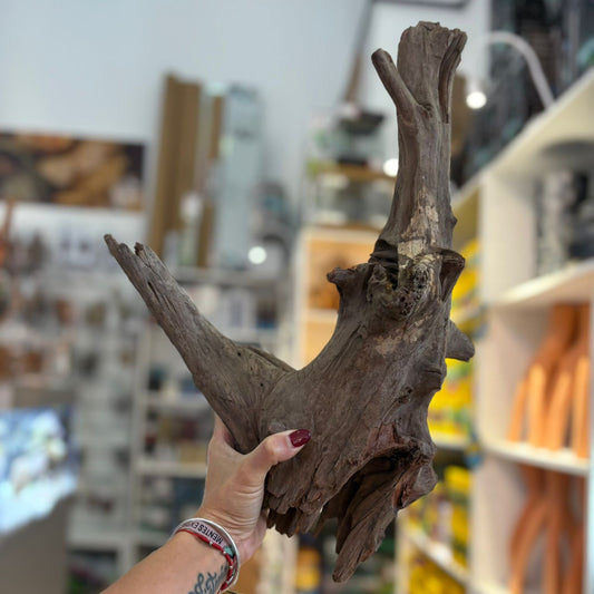 Natural driftwood 40/50cm nº 1