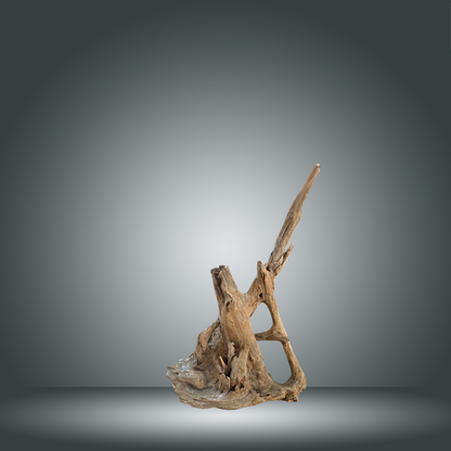 Natural driftwood 40/50 cm nº 4