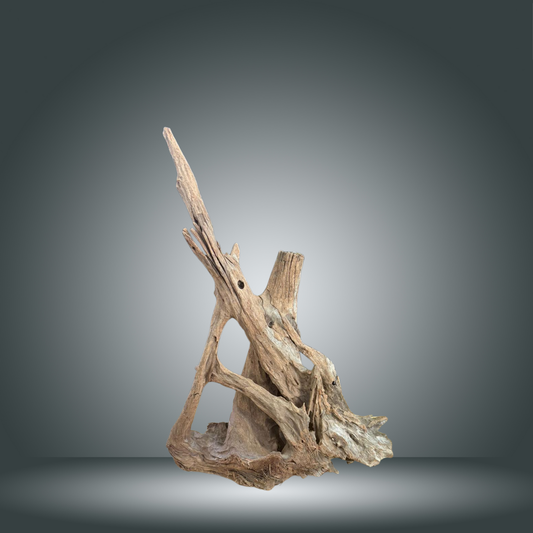 Natural driftwood 40/50 cm nº 4