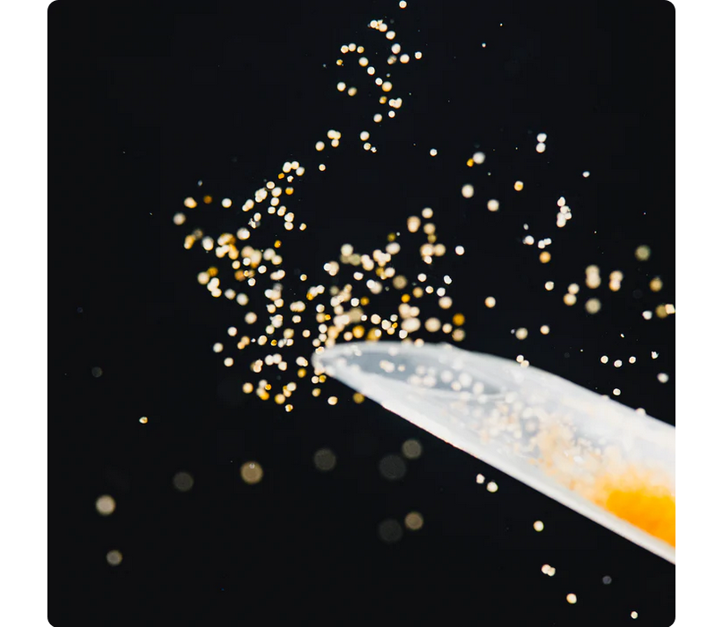 StreamBiz Pure Nature Artemia Nauplii 100 ml