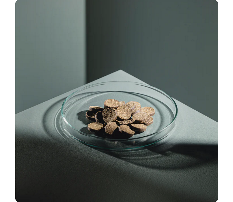 StreamBiz Catfish Nuggets Soft Herbivore 90 g