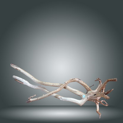 Rainforest 13E - 002 aprox. 90cm