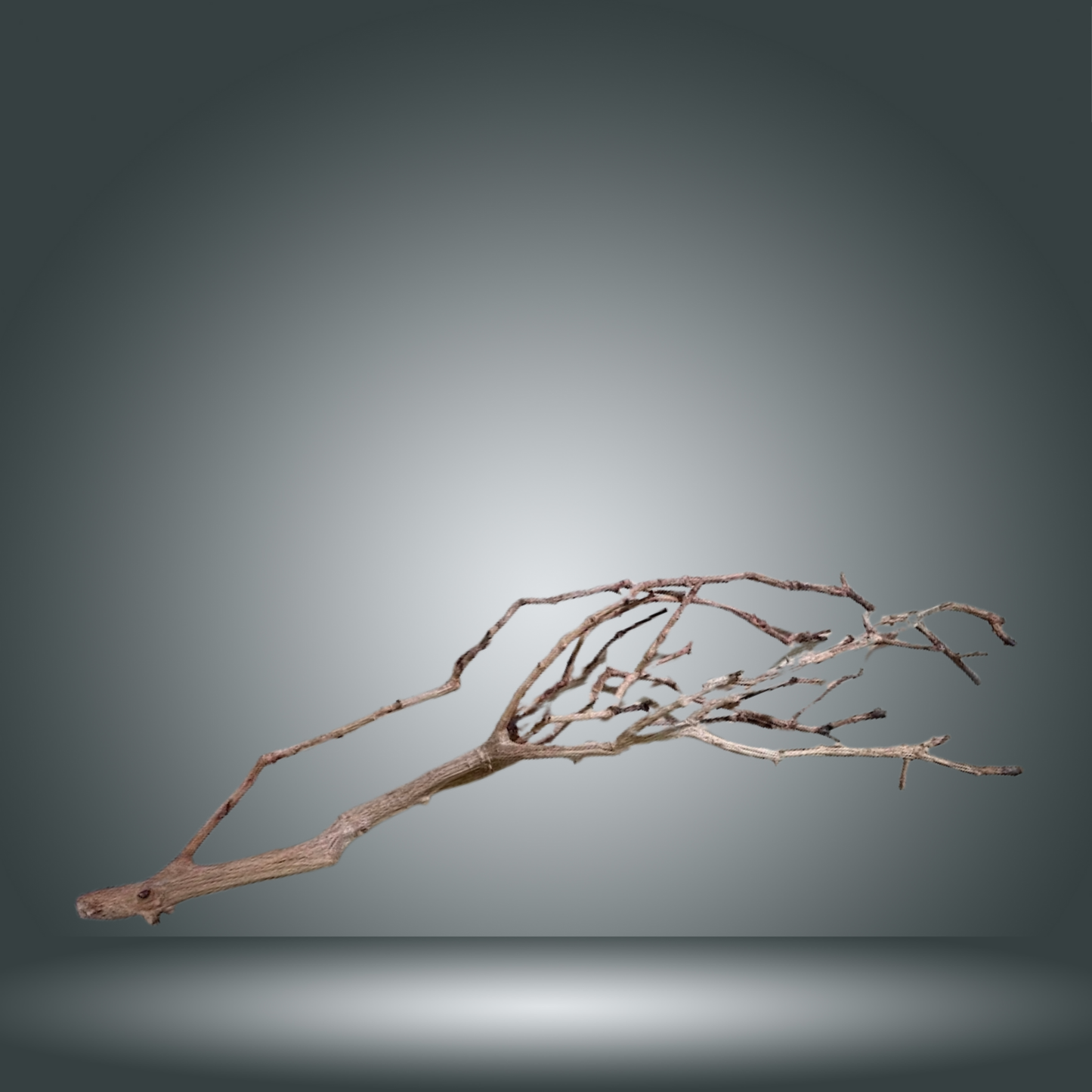 Perita wood 13E - 043 Aprox. 120 cm