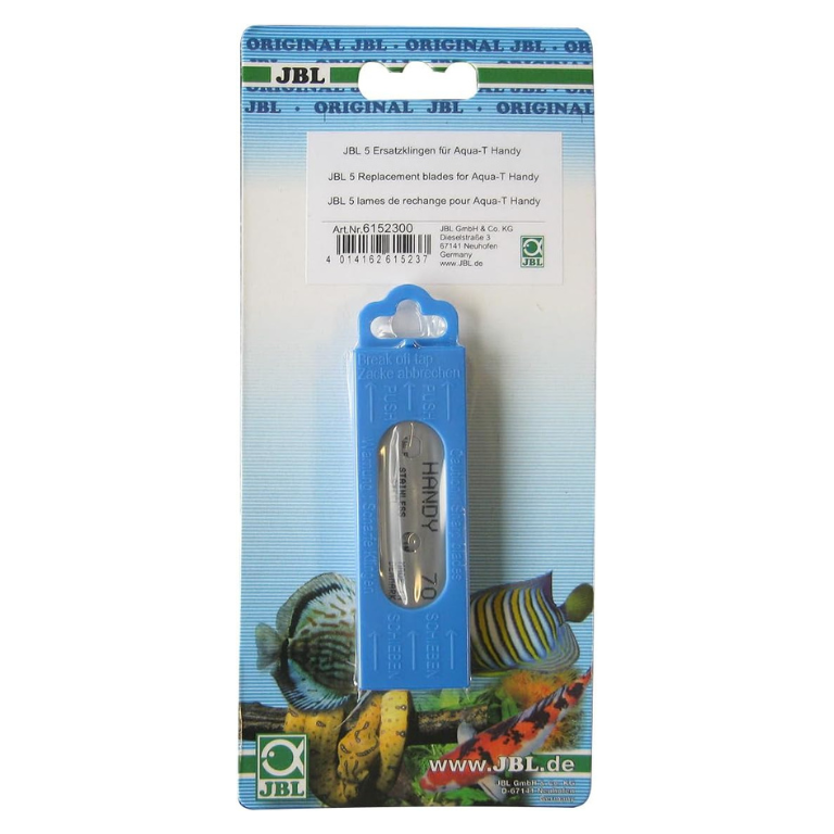 Repuesto cuchillas AQUA T-HANDY