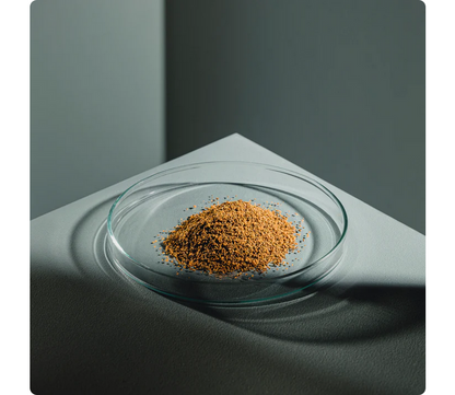 StreamBiz Tetra Natural Granules 40 g