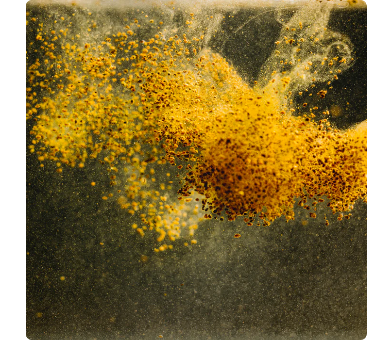 StreamBiz Tetra Natural Granules 40 g