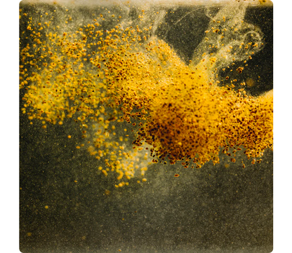 StreamBiz Tetra Natural Granules 40 g