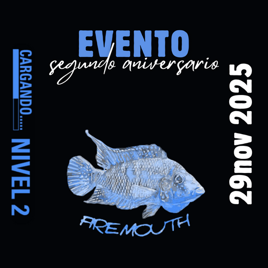 Evento 29N - Segundo Aniversario