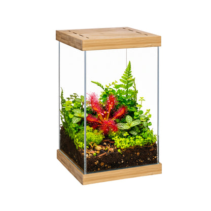 SELVA MINI TERRARIUM de Aquael