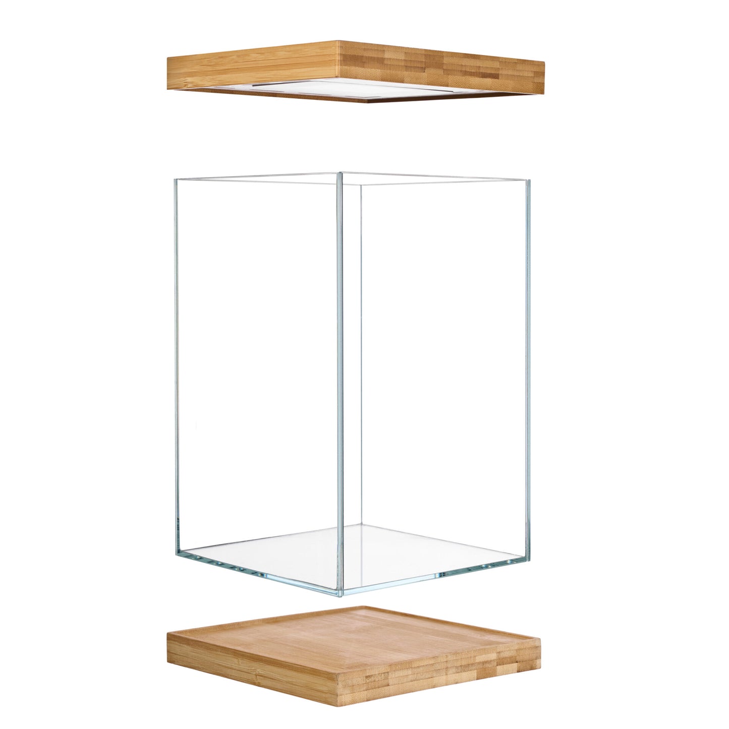 SELVA MINI TERRARIUM de Aquael
