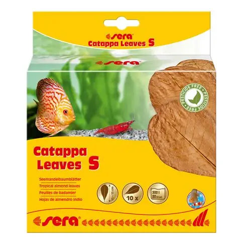 sera catappa leaves talla S