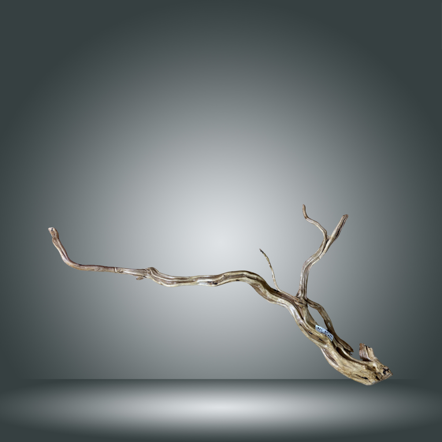 Snake Gold pieza nº 4M-018