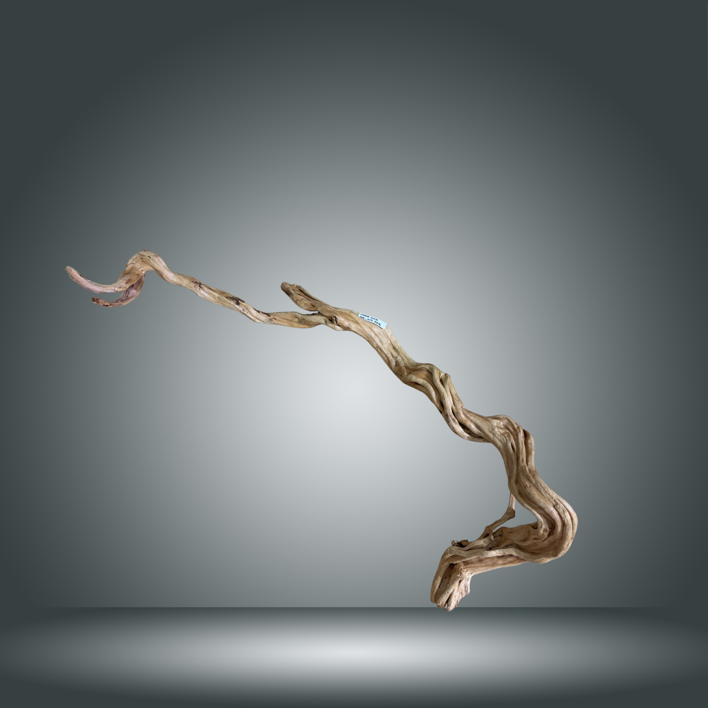 Snake Gold pieza nº 4M-019