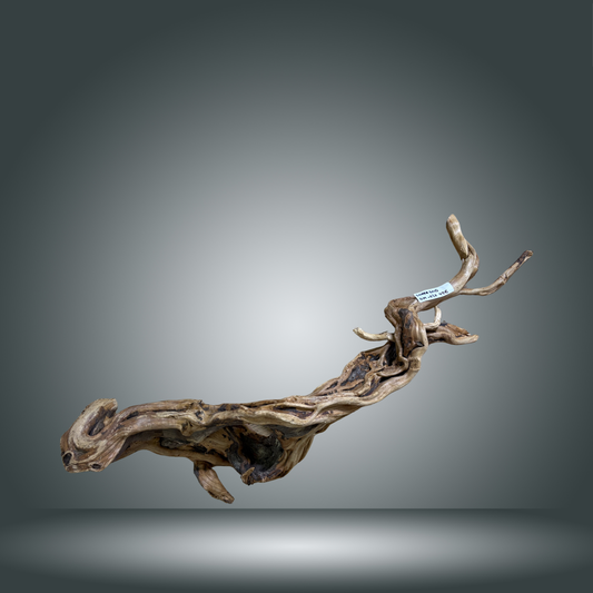 Snake Gold pieza nº 4M-020