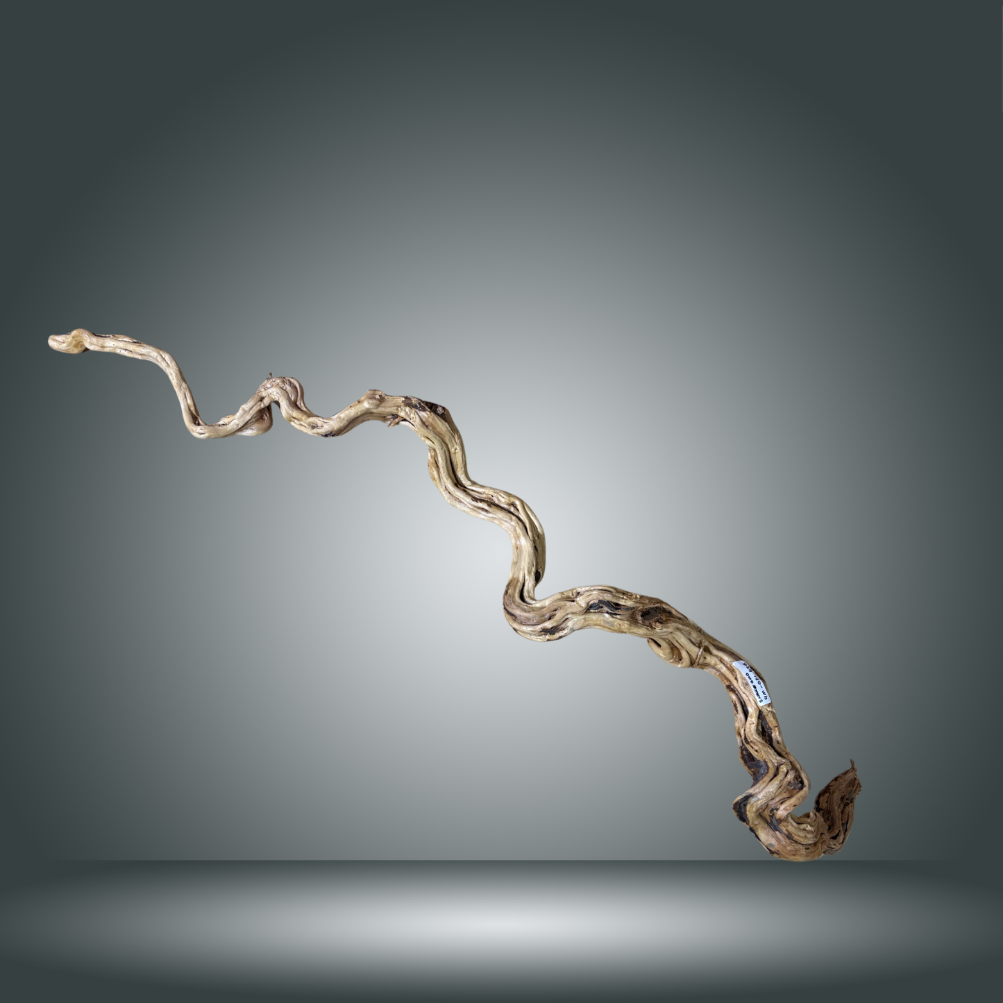 Snake Gold pieza nº 4M-021