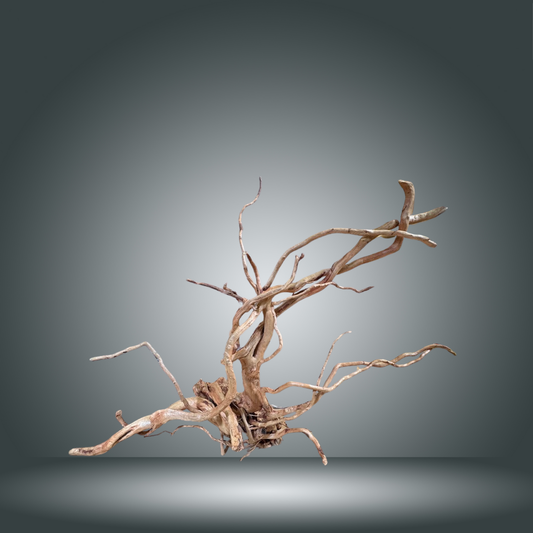 Spider 13E - 005 aprox. 50-70cm