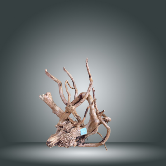 Spider 13E - 006 aprox. 50cm