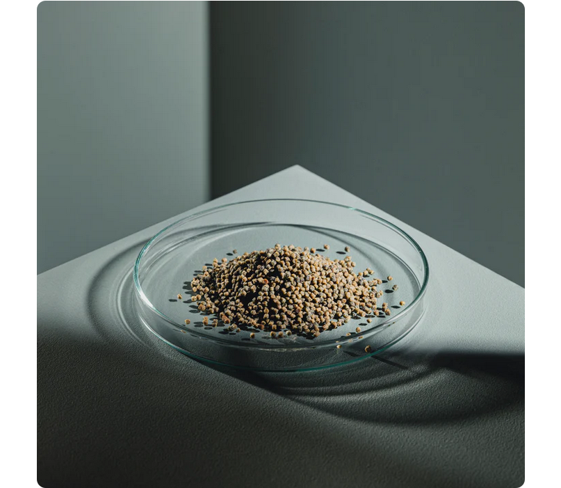 StreamBiz Spirulina Granules Indian Almond 80 g