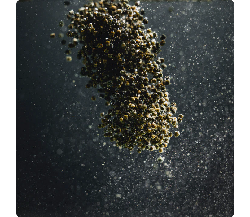 StreamBiz Spirulina Granules Indian Almond 80 g