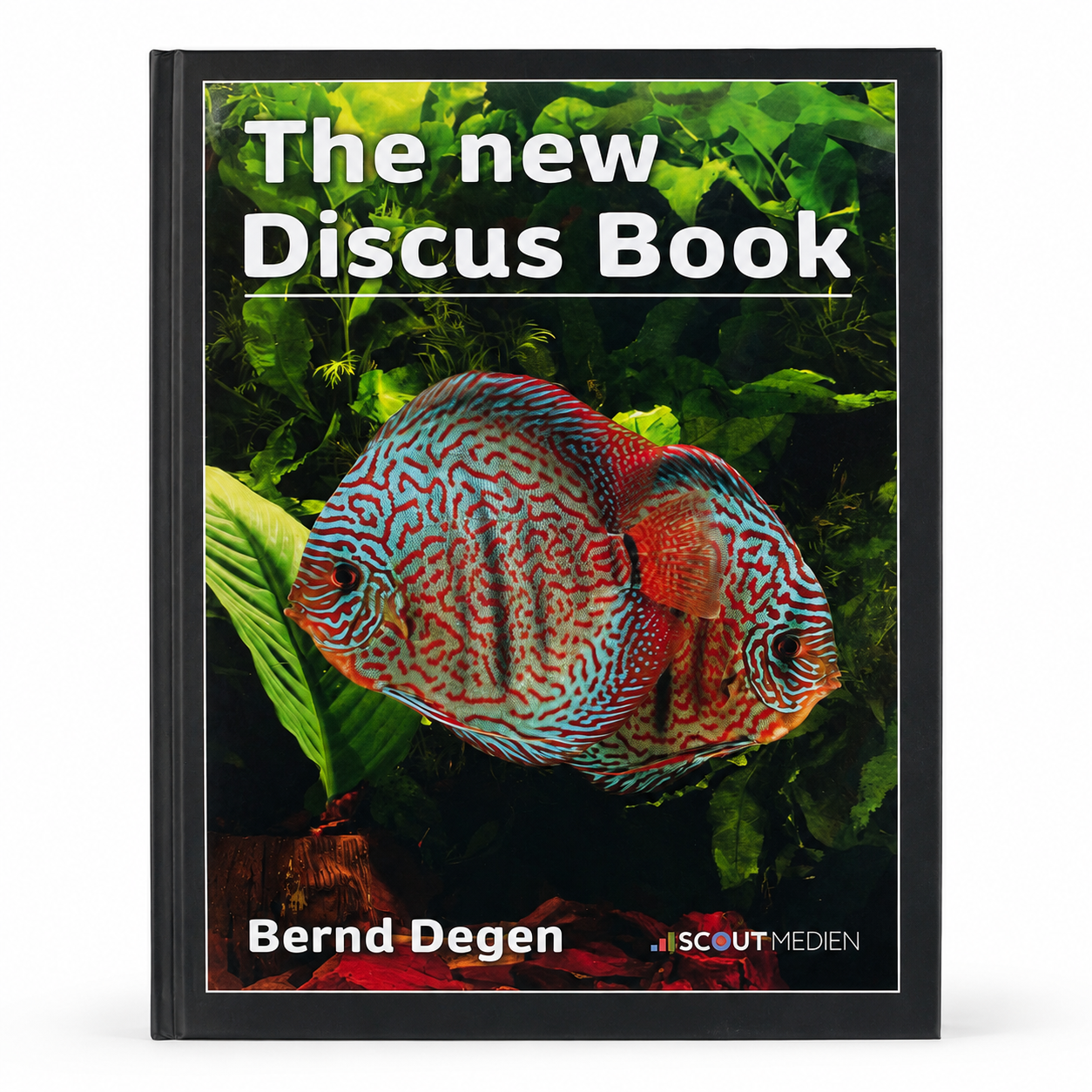 Libro "the new discus book" Bern Degen - envío inmediato
